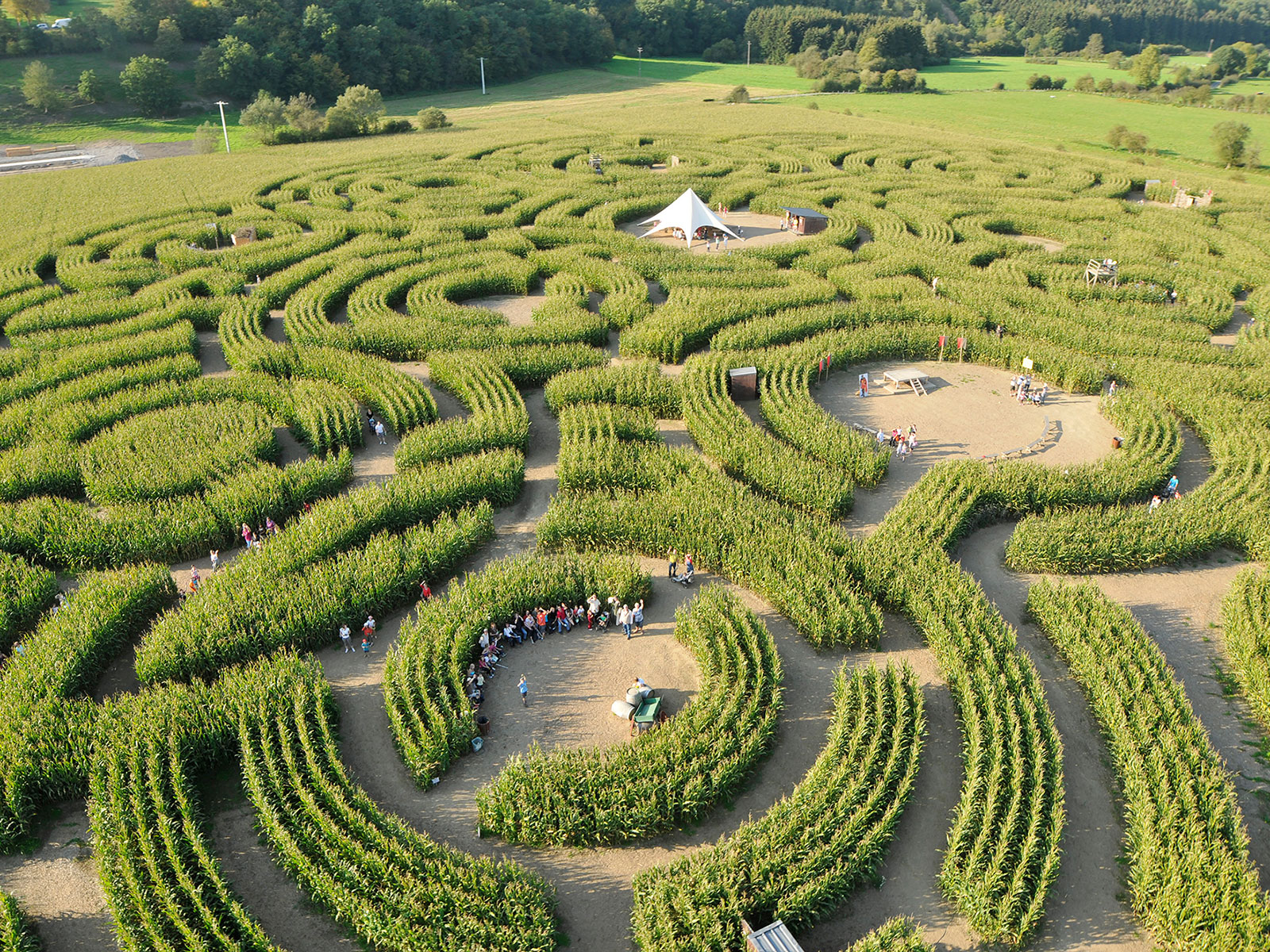 Labyrinth